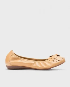 Wonders Bailarina Praga Marron^ Bailarinas