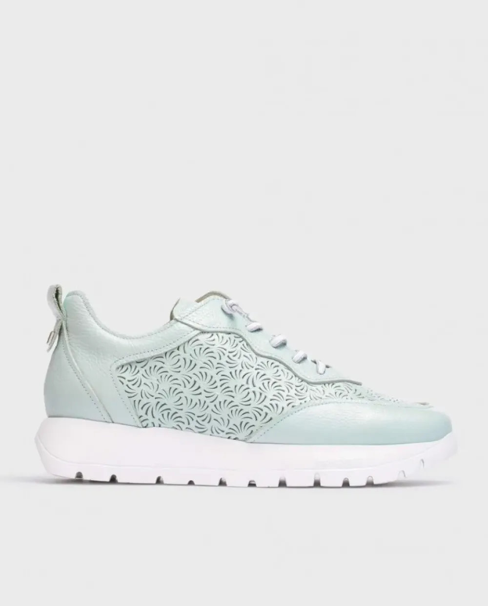 Wonders Deportivas Cario Azul^ Planos