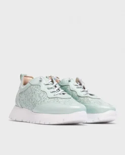 Wonders Deportivas Cario Azul^ Planos