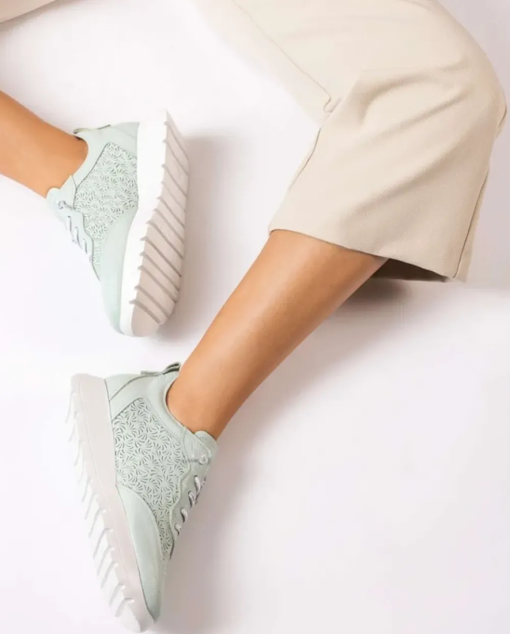 Wonders Deportivas Cario Azul^ Planos