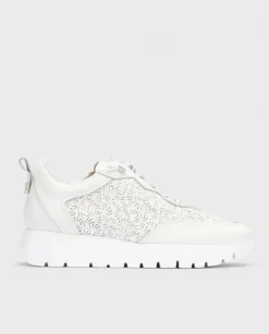 Wonders Deportivas Cario Blanco^ Planos