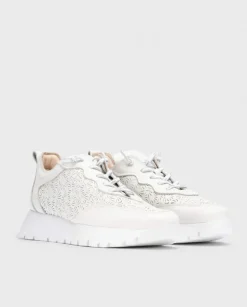 Wonders Deportivas Cario Blanco^ Planos