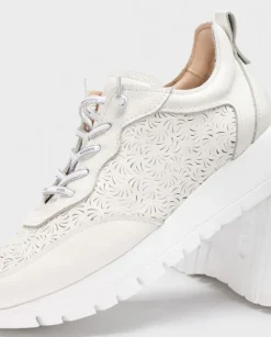 Wonders Deportivas Cario Blanco^ Planos