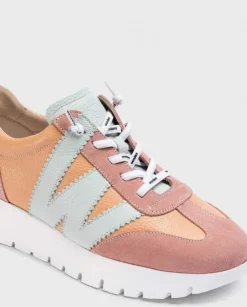 Wonders Deportivas Meri Rosa^ Deportivas