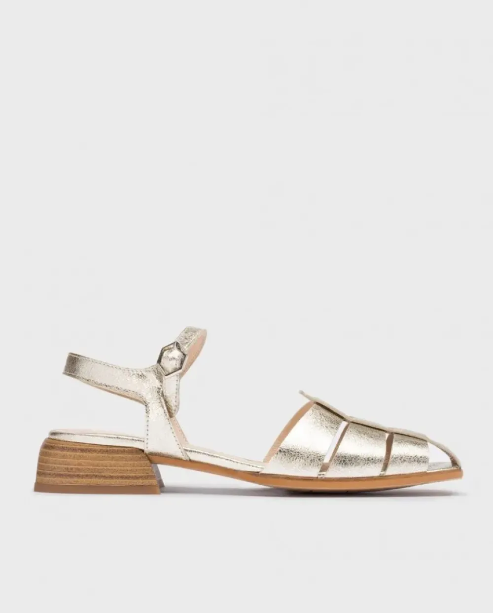 Wonders Naranja Phoenix Cangrejeras^ Planos