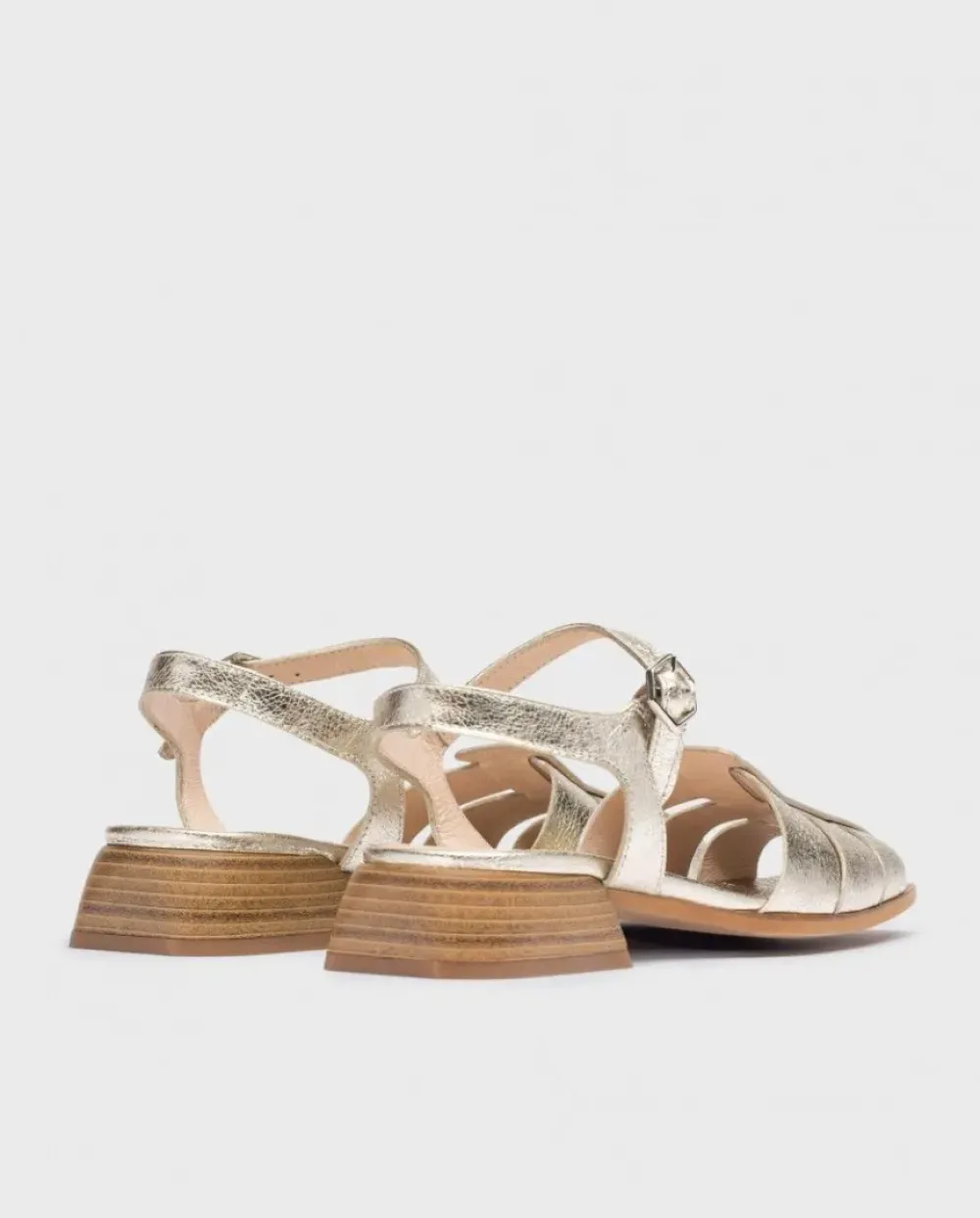 Wonders Naranja Phoenix Cangrejeras^ Planos