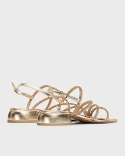 Wonders Sandalia Zaida^ Planos