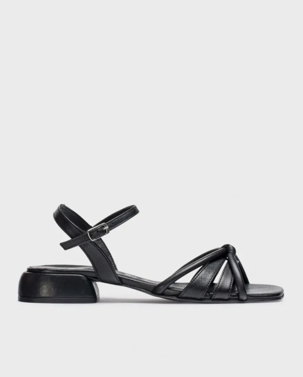 Wonders Sandalia Zaida^ Planos