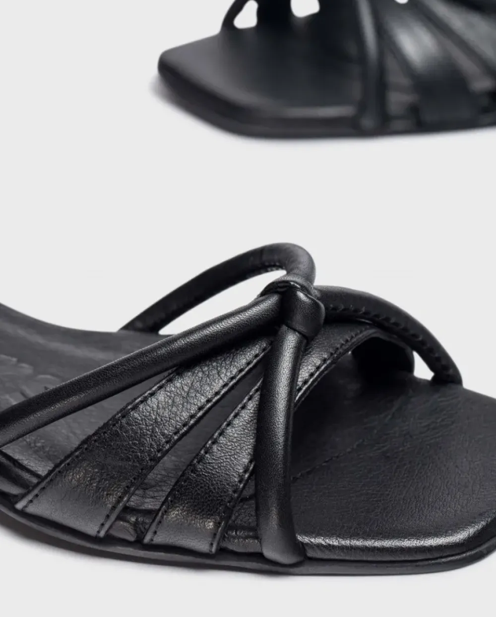 Wonders Sandalia Zaida^ Planos